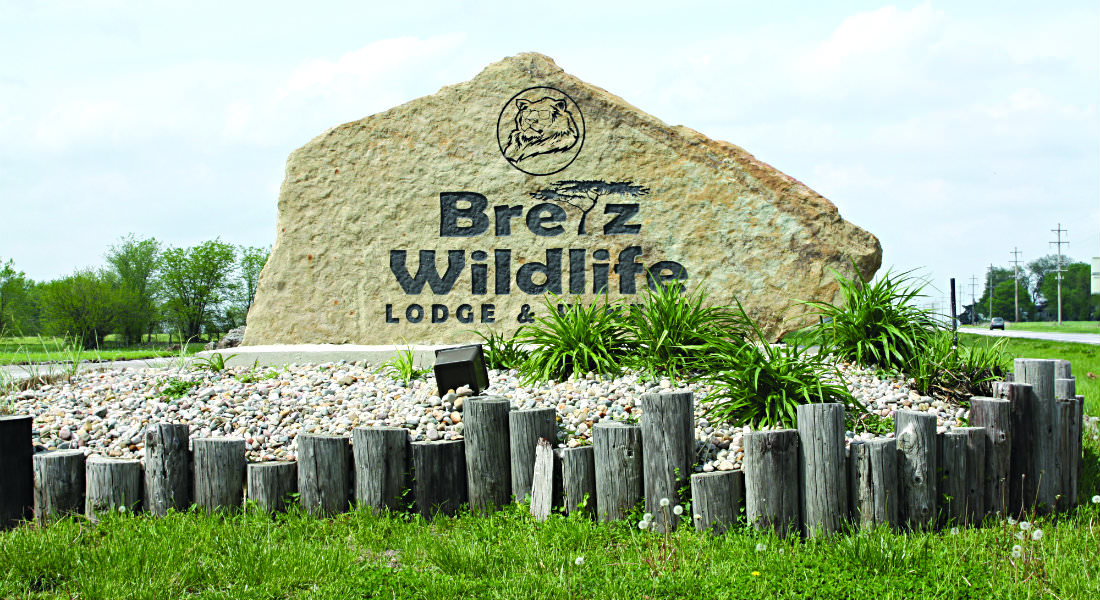 Large stone attraction marker with carves lion with sunglass and name Bretz Wildlife Lodge and Winery, gravel bank by cut off posts.